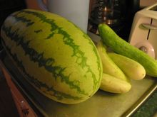 IMG_5499.JPG