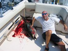 BaldBluefin.jpg