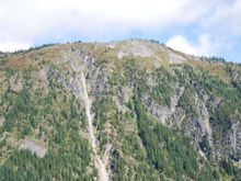 DSC_0339.jpg