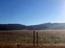 IMG_3346.JPG
