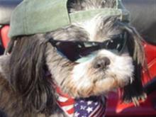 Cool Dude 2.jpg