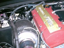 IMAG0030.jpg