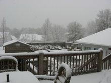 IMG_1617.JPG