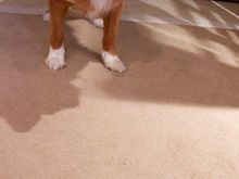 IMG_3368 - Version 2.jpg