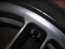 IMG 2649 (Large)