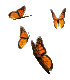 butterflygroup_e0.gif