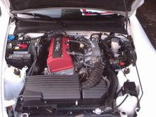 Picture 28.jpg