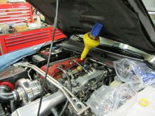 IMG 0372