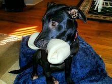 IMG 20131020 084907