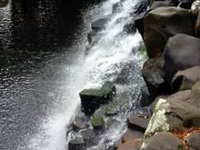 Rochester  waterfall3