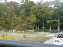 Watercrossing.jpg