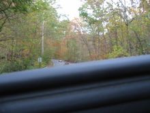 111-1180_IMG.JPG