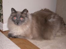 DSCN9956.JPG