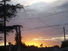DSC01355.JPG