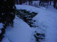 DSC00441.JPG