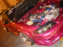 IMG_2391.JPG