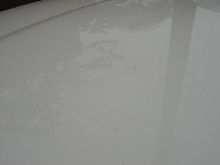 DSC01377.JPG