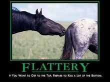 flattery.jpg