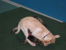 IMG_0565.JPG