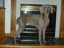 Nimbus -- Fireplace.jpg