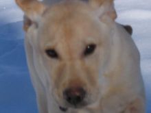 Maggie
