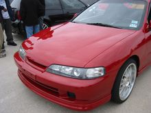 IMG_0533.JPG