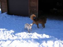 IMG_0570.JPG
