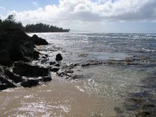 IMG_0037.JPG