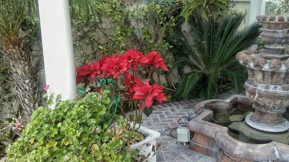 ^2-10-2018.  Trabuco Canyon, CA.