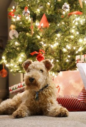 Merry Christmas and a Happy New Year