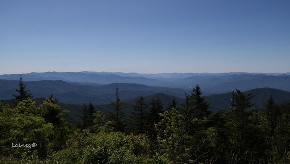 Clingman's Dome Road