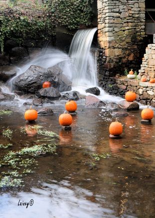 Fun with shutter speed