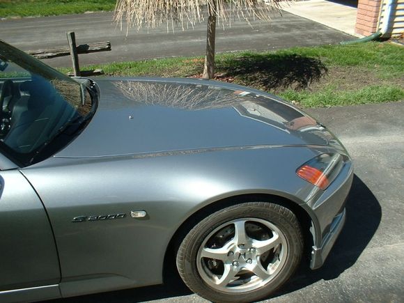 z5shot.jpg