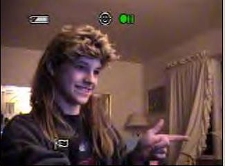 MULLET6.JPG