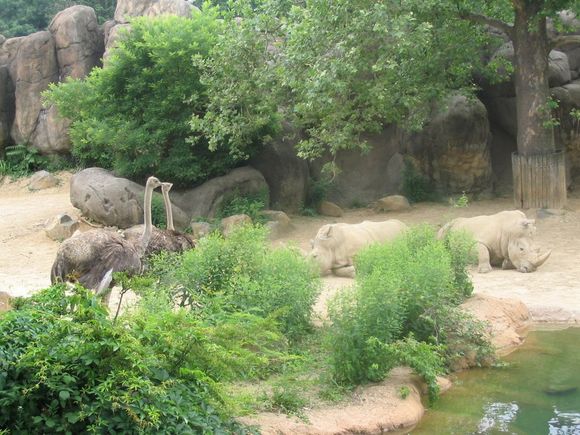 Zoo_5-30-04 015.jpg