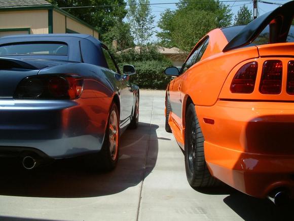 S2000 and Mustang Rear.JPG