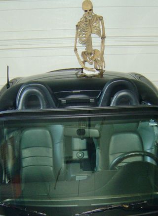 cropped1.jpg
