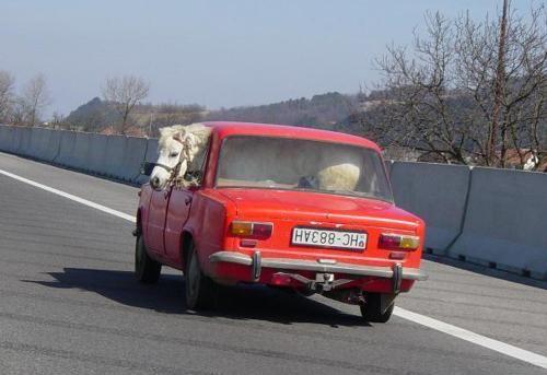 Mexican Ferrari