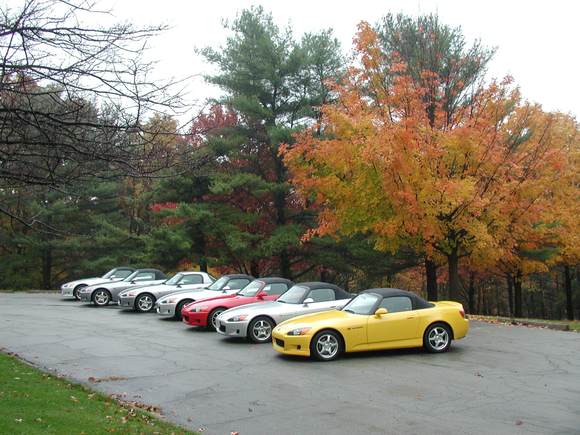 Sunday Brunch Drive II