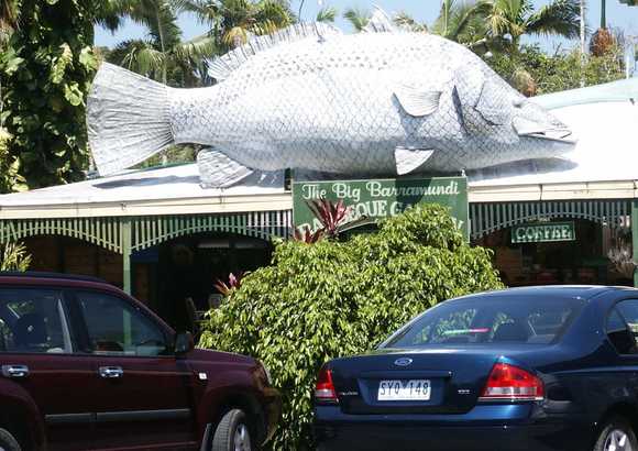 Fish in Auz