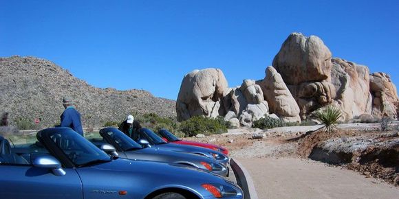 /Users/blanford/Pictures/S2000/VegasRun/v6_joshuatree.jpg