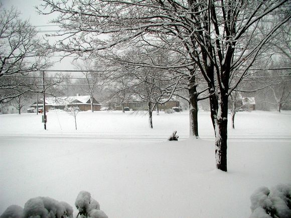 Winter Wonderland II