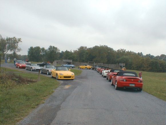 16cars.jpg