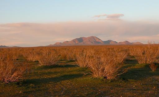 Jan. 29, 2005 sunset