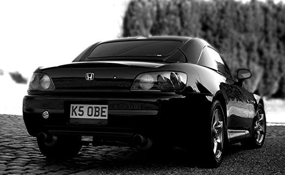 DSC_08741 copy.jpg