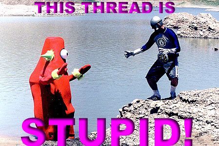 Stupid 1