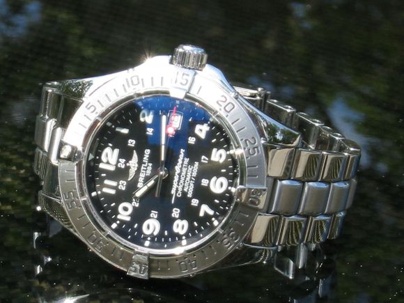 Tarpon 004.jpg