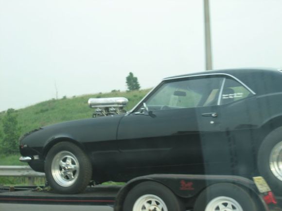 live 8 004.jpg