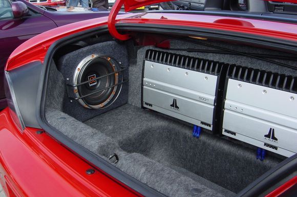 trunk3.jpg