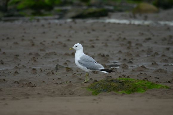 image051.jpg